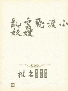 乱云飞渡小说之姣嫂