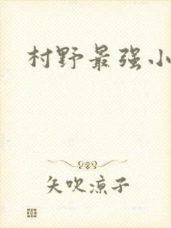 村野最强小农民