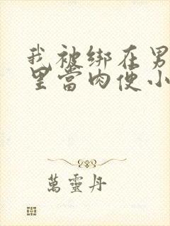 我被绑在男公厕里当肉便小说