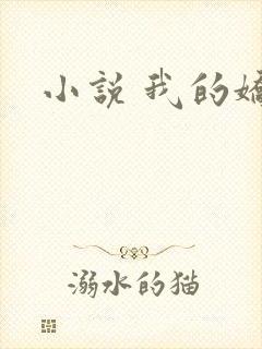 小说 我的娇妻