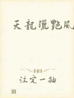 天龙猎艳风流