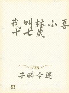 我叫林小喜今年十七岁