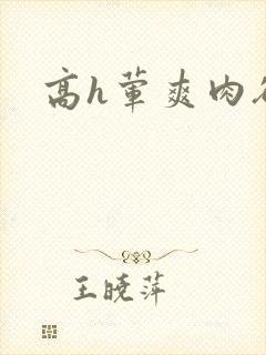 高h荤爽肉欲文