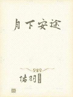 月下安途