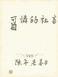 可怜的社畜东度日