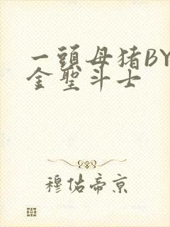 一头母猪BY黄金圣斗士