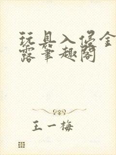 玩具入侵金银花露笔趣阁