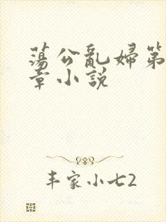 荡公乱妇第51章小说