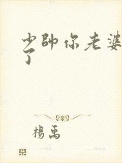 少帅你老婆又跑了