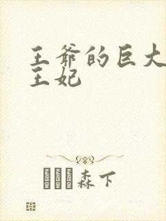 王爷的巨大进入王妃