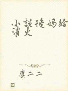 小说后妈给我消消火