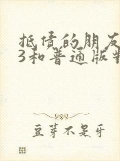 抵债的朋友麦子3和普通版对比