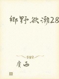 乡野欲潮28章