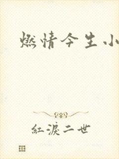 燃情今生小说