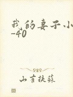 我的妻子小谨1-40