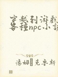 穿越到游戏里和各种npc小说