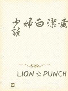 少妇白洁黄色小说