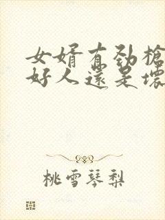 女婿有劲枪枪是好人还是坏人