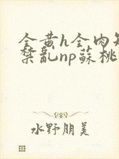 全黄h全肉短篇禁乱np苏桃