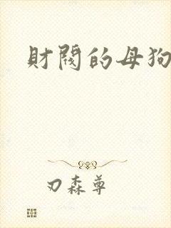 财阀的母狗们