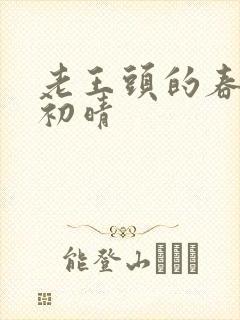 老王头的春天林初晴