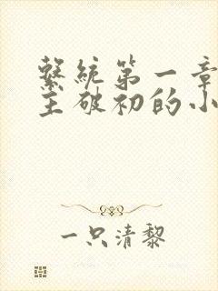 系统第一章给宿主破初的小说