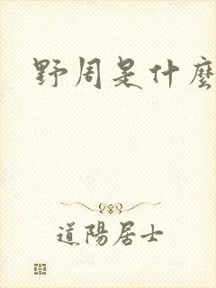 野周是什么意思