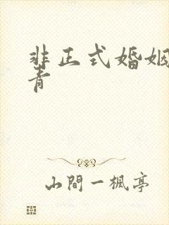 非正式婚姻雾里青