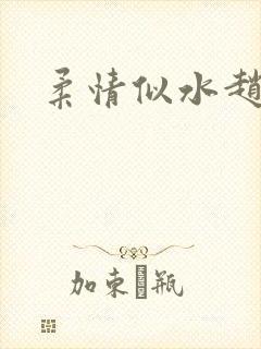 柔情似水赵雅儿