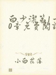 白少洁第1一40章免费阅读