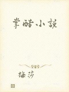 掌酷小说