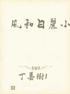 风和日丽小说