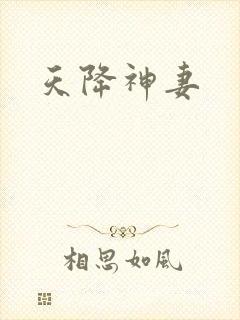 天降神妻