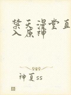 禁天漫堂直接进入原神