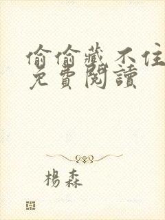 偷偷藏不住小说免费阅读