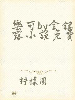 乐可by金银花露小说免费阅读