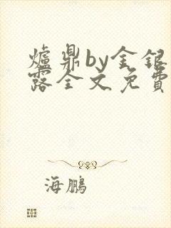 炉鼎by金银花露全文免费阅读笔趣阁