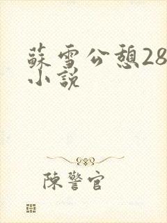 苏雪公憩28篇小说