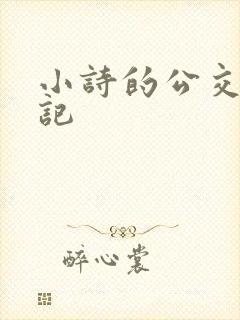 小诗的公交车日记