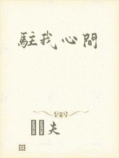 驻我心间