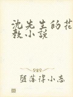 沈先生的花式管教小说