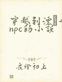 穿越到湮婸世界npc的小说