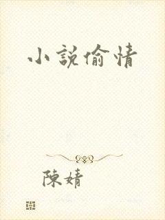 小说偷情