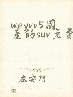 weyvv5国产的suv免费
