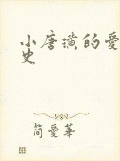 小唐璜的爱情历史