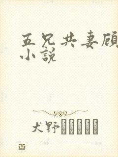 五兄共妻顾心儿小说