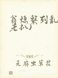 翁熄系列乱 (老扒)