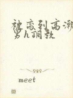 被脔到高潮的直男h调教