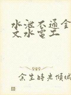 水泄不通金银原文水电工