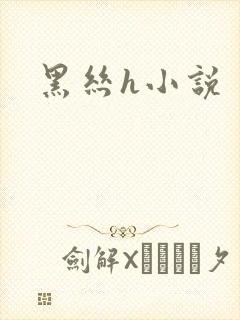 黑丝h小说